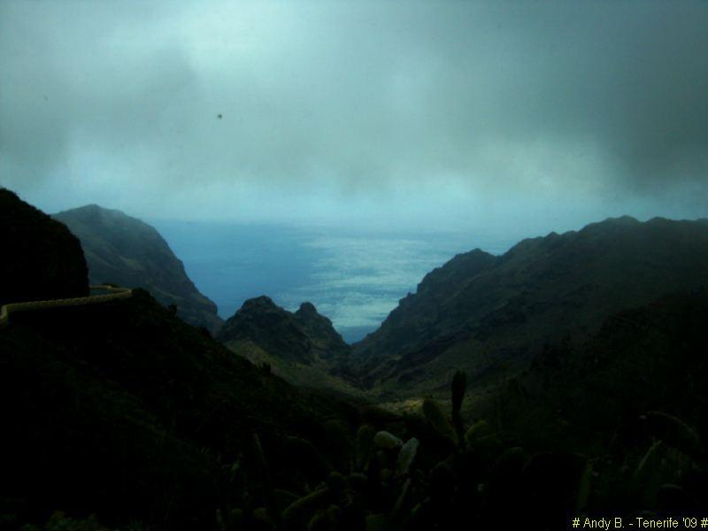 Découverte de Tenerife (48).JPG